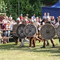 Neustadt-Glewe_20130608-173130_2967.jpg