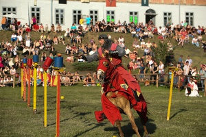 Neustadt-Glewe 20130608-184253 3130