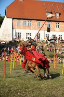 Neustadt-Glewe 20130608-184718 3163