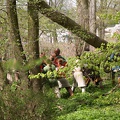 Heerbann-20130428-13_41_47_0949.jpg
