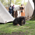 8WikingerMittelalterSpektakelPankow_20140412-150036_3895.jpg