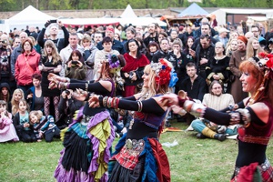 8WikingerMittelalterSpektakelPankow 20140412-191341 4188
