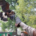 8WikingerMittelalterSpektakelPankow_20140413-132153_4693.jpg
