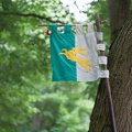 9__Schlacht_um_Garz_20140725-200221_7810.jpg