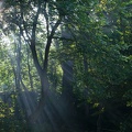 9__Schlacht_um_Garz_20140726-074749_7871.jpg