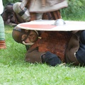 9__Schlacht_um_Garz_20140726-164243_7984.jpg