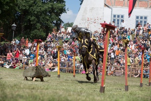 Neustadt-Glewe 20140531-154902 0455