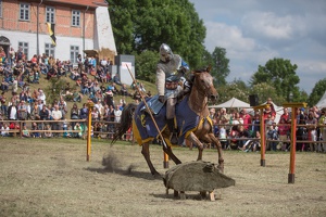 Neustadt-Glewe 20140601-155022 7830