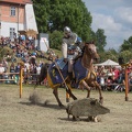 Neustadt-Glewe_20140601-155022_7830.jpg