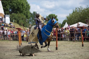 Neustadt-Glewe 20140601-155045 7834