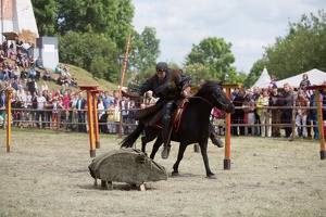 Neustadt-Glewe 20140601-155152 7845