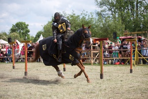 Neustadt-Glewe 20140601-155224 7851