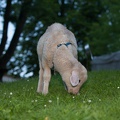 Gerswalder-Wasserburgfest_20140712-212513_7674.jpg