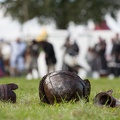 Burgfest-Heldrungen_20140927-135540_1014.jpg