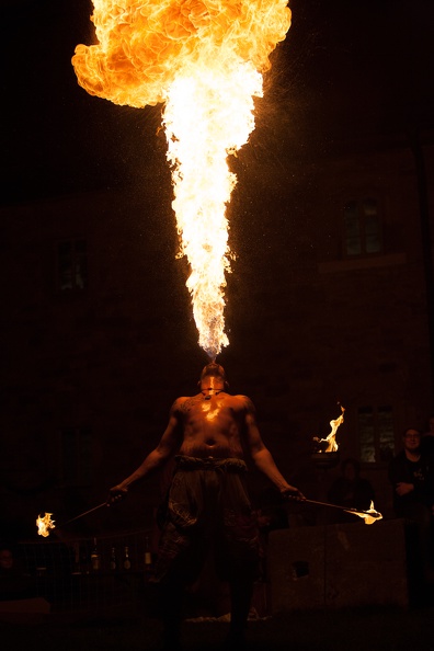 Burgfest-Heldrungen_20140927-211022_1656.jpg