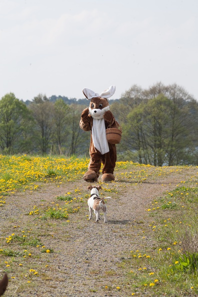 Osterfeuer_Werbellin_20140420-102835_5388.jpg