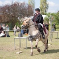 Osterfeuer_Werbellin_20140420-133935_5509.jpg