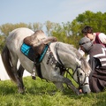 Heerbann_20140426-172642_6143.jpg