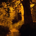 Heerbann_20140427-003352_6717.jpg