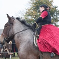 Werbellin_20141025-152454_2671.jpg