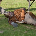 Schlacht_um_Garz_20150724-185520_2338.jpg