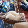 9__Wikinger_und_Mittelalterspektakel_20150418-142135_9473.jpg