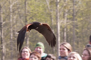 9. Wikinger und Mittelalterspektakel 20150418-144658 9534