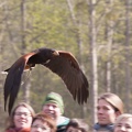 9__Wikinger_und_Mittelalterspektakel_20150418-144658_9534.jpg