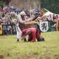 Burgfest_Stargard_20150808-160234_5185.jpg
