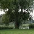 11_Schlacht_um_Garz_20160730-113422_6299.jpg