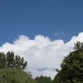 11_Schlacht_um_Garz_20160730-115147_6356.jpg