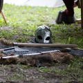 11_Schlacht_um_Garz_20160731-131634_7935.jpg