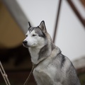Werbellin_20161022-121125_4034.jpg