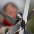 Werbellin_20161023-124041_5370.jpg