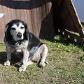 Werbellin-Ostern_20190421-100140_1214.jpg