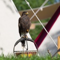 Stargard_20190811-101442_8472.jpg