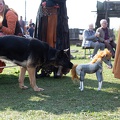 Werbellin_20191020-140309_4187.jpg