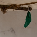 Werbellin_20201025-133124_2790.jpg