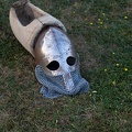 Werbellin_20200808-195450_0388.jpg