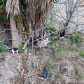 Andalusien_20150320-190048_7367.jpg