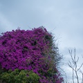 Andalusien_20150320-191938_7375.jpg