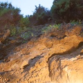 Andalusien_20150320-192741_7381.jpg