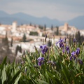 Andalusien_20150324-144853_7552.jpg