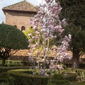 Andalusien_20150324-170528_7685.jpg