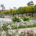 Andalusien_20150326-101625_7863.jpg