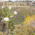 Andalusien_20150326-164724_7904.jpg