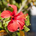 Andalusien_20150401-121821_8256.jpg
