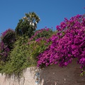 Andalusien_20150401-125412_8267.jpg