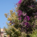 Andalusien_20150401-125432_8268.jpg
