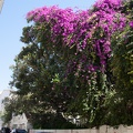 Andalusien_20150401-125543_8272.jpg